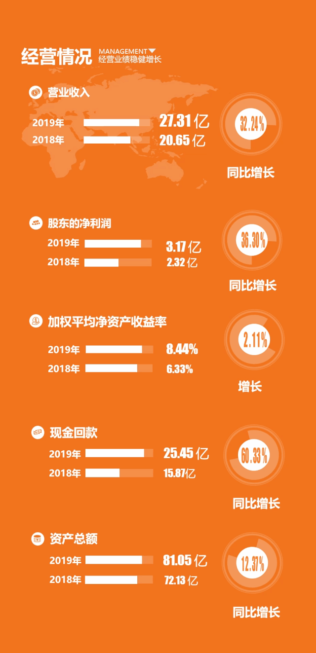 維爾利2019年報詳情1