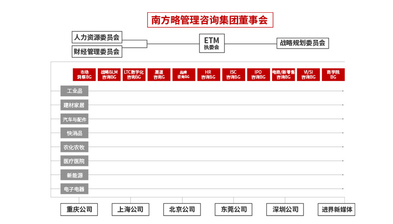 南方略咨詢集團組織架構